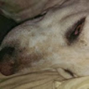 Meet your Posher, Jeffrey